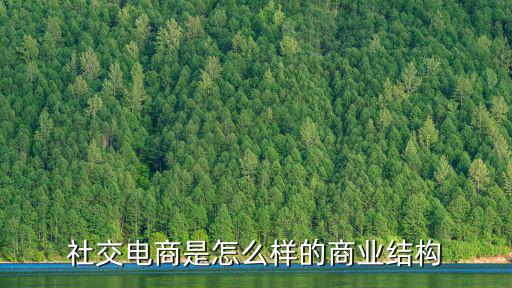 社交電商是怎么樣的商業結構