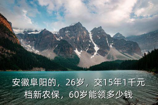 安徽阜陽的，26歲，交15年1千元檔新農保，60歲能領多少錢