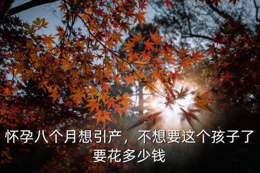 阜陽醫院做引產需要多少錢,大概需要多少錢