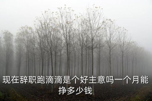 現(xiàn)在合肥市跑滴滴一天能跑多少公里,一個(gè)月能掙多少錢