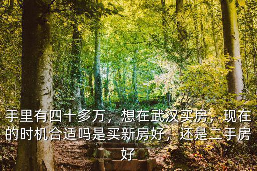 買武漢愿景城的房子怎么樣,武漢黃家湖軍運(yùn)村房子怎么樣