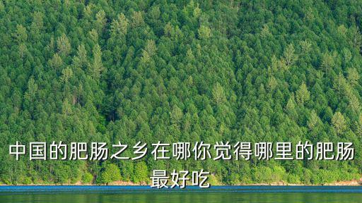 綿陽哪里有好吃的肥腸,你覺得哪里的肥腸最好吃