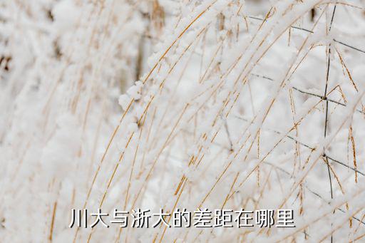 川大與浙大的差距在哪里