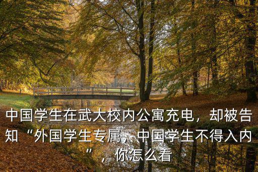 怎么認識武漢大學學生,中國學生不得入內