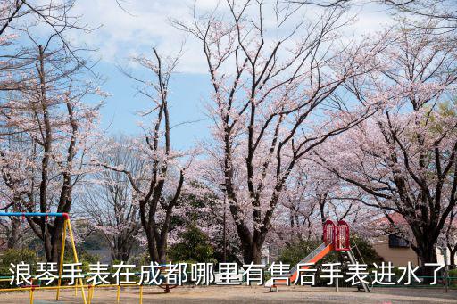 浪琴手表在成都哪里有售后手表進水了