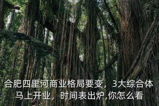 合肥是有多少商業(yè)綜合體,合肥商業(yè)綜合體有哪些