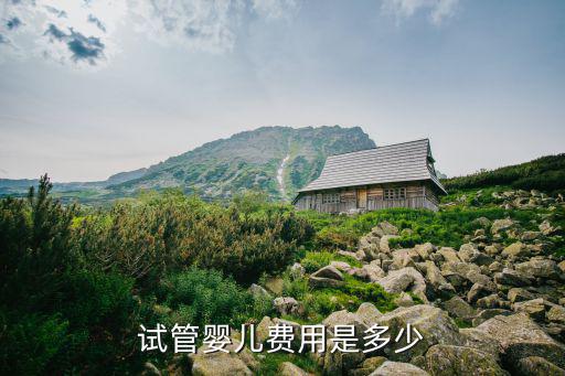 試管嬰兒費用是多少
