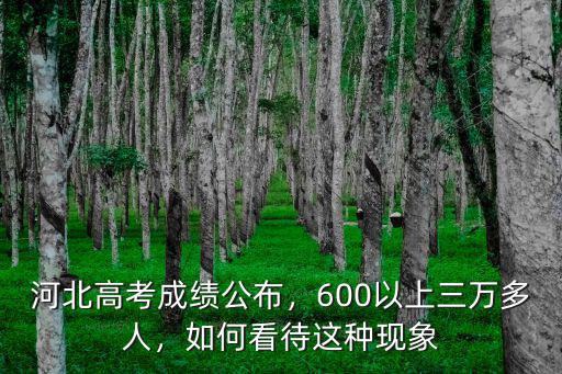 河北2018年高考600分以上多少人,今年河北高考最高分多少