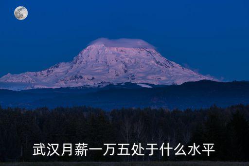 武漢月薪一萬五處于什么水平