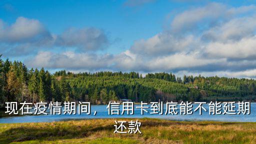 武漢病情信用卡怎么還款,你們是怎么還信用卡的