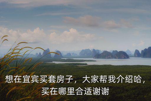 想在宜賓買套房子，大家幫我介紹哈，買在哪里合適謝謝