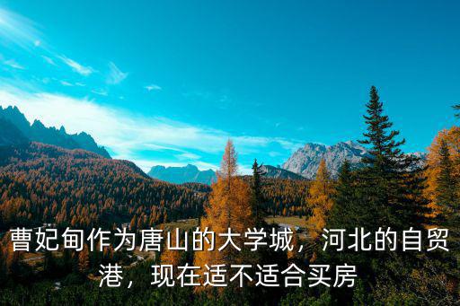 唐山曹妃甸多少錢一年,曹妃甸作為唐山的大學城