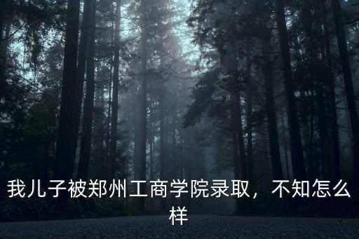我兒子被鄭州工商學院錄取，不知怎么樣