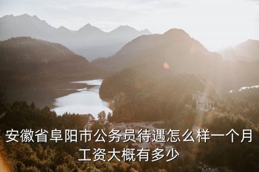 安徽省阜陽市公務員待遇怎么樣一個月工資大概有多少