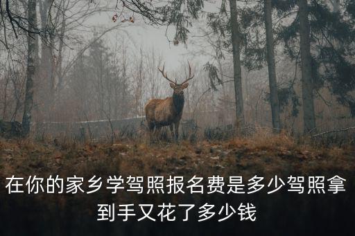 在唐山學駕照大概多少錢,大家學完駕照多少錢