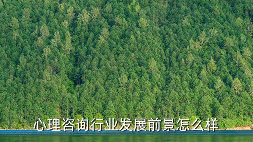 心理咨詢行業(yè)發(fā)展前景怎么樣