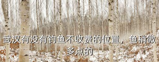 武漢有沒有釣魚不收費的位置，魚稍微多點的
