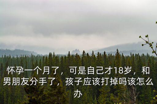 南陽懷孕一個月怎么打掉孩子,懷孕一個月了