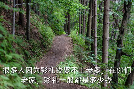 河北平山結婚彩禮多少錢,平山縣結婚彩禮是多少