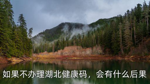 湖北健康碼微信怎么打卡,湖北健康碼打卡為什么取消了