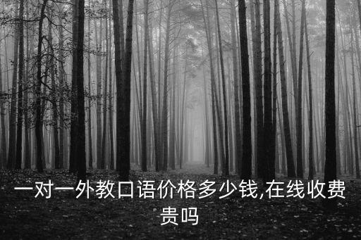一對一外教口語價格多少錢,在線收費貴嗎