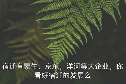 宿遷有蒙牛，京東，洋河等大企業，你看好宿遷的發展么
