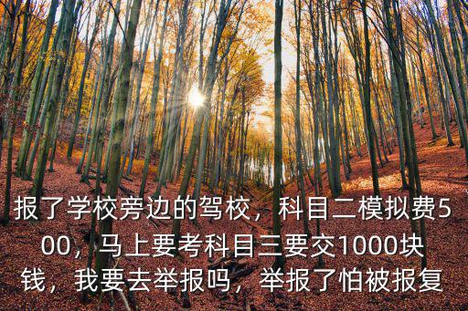 報了學校旁邊的駕校，科目二模擬費500，馬上要考科目三要交1000塊錢，我要去舉報嗎，舉報了怕被報復