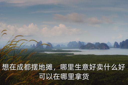 想在成都擺地?cái)偅睦锷夂觅u什么好可以在哪里拿貨