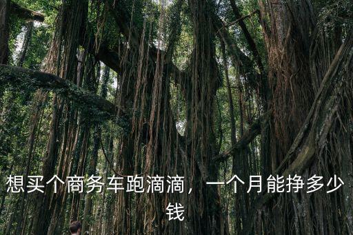 想買個商務車跑滴滴，一個月能掙多少錢