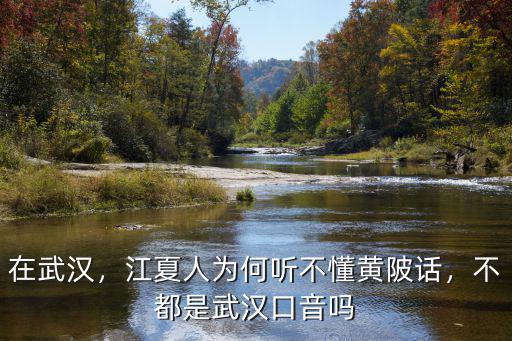 在武漢，江夏人為何聽不懂黃陂話，不都是武漢口音嗎