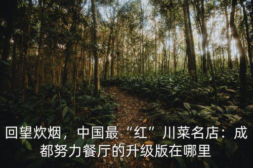 回望炊煙，中國最“紅”川菜名店：成都努力餐廳的升級版在哪里