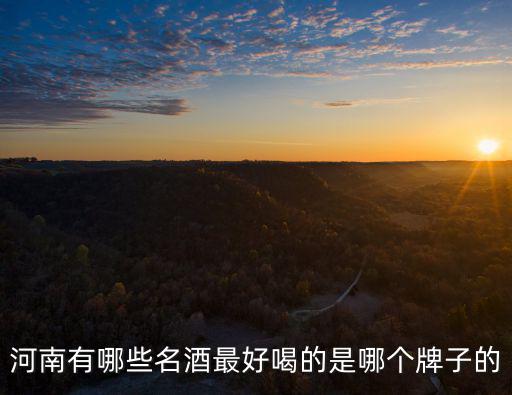 河南有哪些名酒最好喝的是哪個牌子的