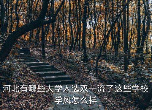 大學雙一流在河北招多少人,河北大學有望成為雙一流嗎