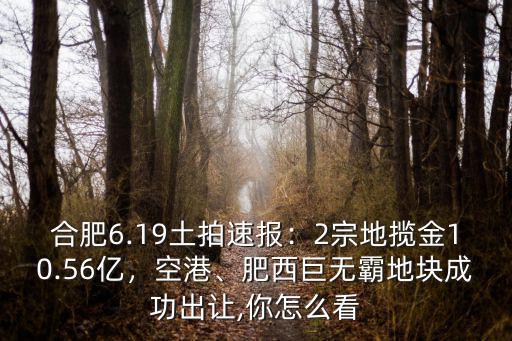 合肥6.19土拍速報：2宗地攬金10.56億，空港、肥西巨無霸地塊成功出讓,你怎么看