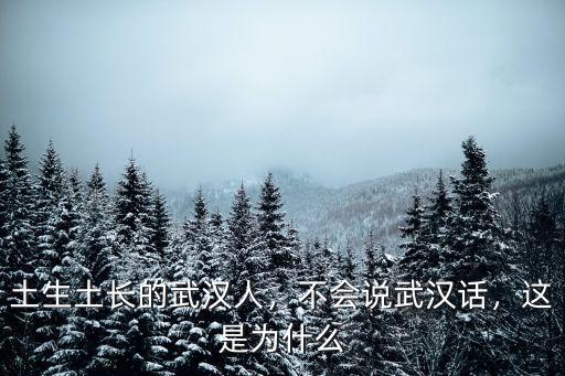 土生土長的武漢人，不會說武漢話，這是為什么