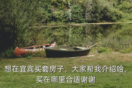 宜賓未來城在哪里,宜賓未來的城市中心在哪里