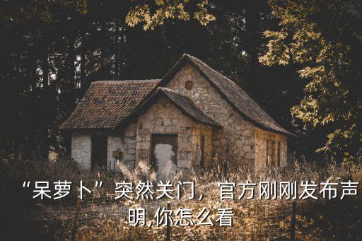 呆蘿卜合肥多少錢,合肥呆蘿卜大規(guī)模關(guān)店