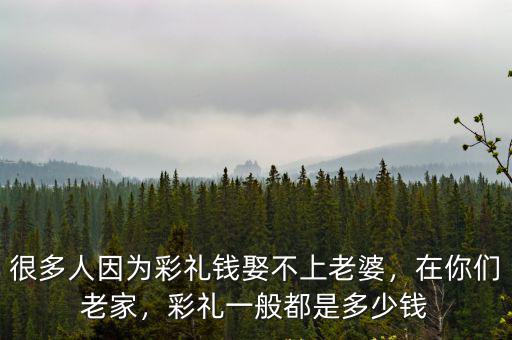 很多人因為彩禮錢娶不上老婆，在你們老家，彩禮一般都是多少錢