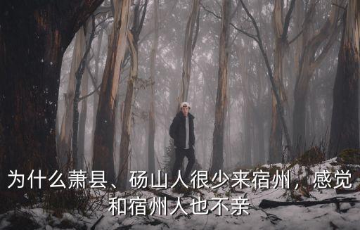 為什么蕭縣、碭山人很少來宿州，感覺和宿州人也不親