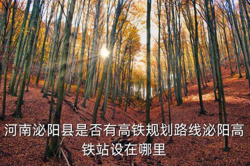 河南泌陽(yáng)縣是否有高鐵規(guī)劃路線泌陽(yáng)高鐵站設(shè)在哪里