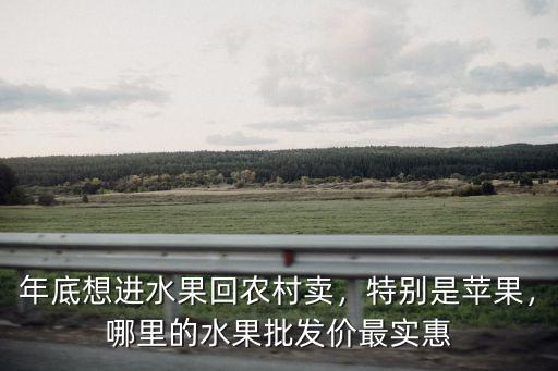 年底想進水果回農村賣，特別是蘋果，哪里的水果批發價最實惠