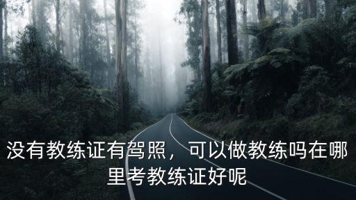 沒有教練證有駕照，可以做教練嗎在哪里考教練證好呢