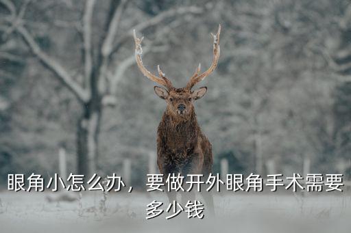 眼角小怎么辦，要做開外眼角手術需要多少錢