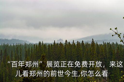 看鄭州航展怎么看,鄭州尬舞你怎么看