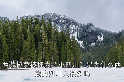樂山外來人口最多的是哪里,哪個城市的外來人口最多