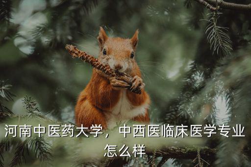 河南中醫(yī)藥大學(xué)臨床醫(yī)學(xué)院怎么樣,河南中醫(yī)藥大學(xué)