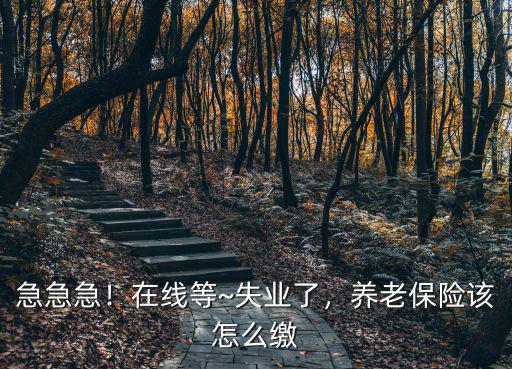 急急急！在線等~失業了，養老保險該怎么繳