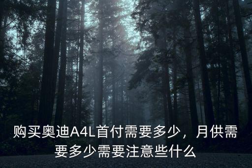 鄭州買(mǎi)奧迪a4首付多少,購(gòu)買(mǎi)奧迪A4L首付需要多少
