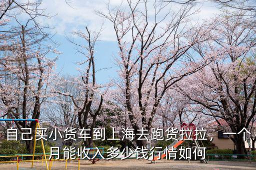自己買小貨車到上海去跑貨拉拉，一個月能收入多少錢行情如何
