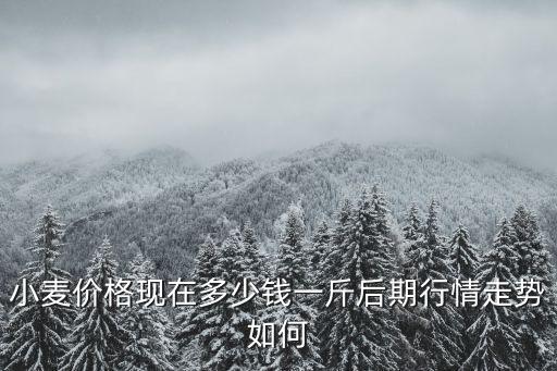安徽省蒙城縣今天的小麥價格多少,現在小麥的價格大概為多少